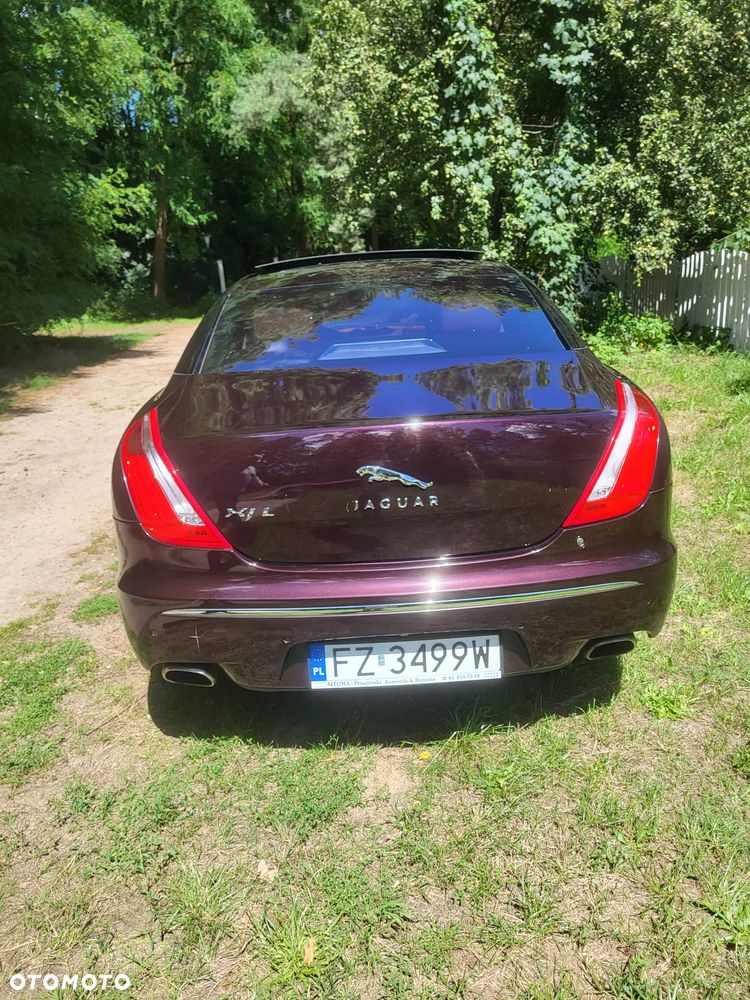 Jaguar XJ 5.0 V8 Premium Luxury - 4