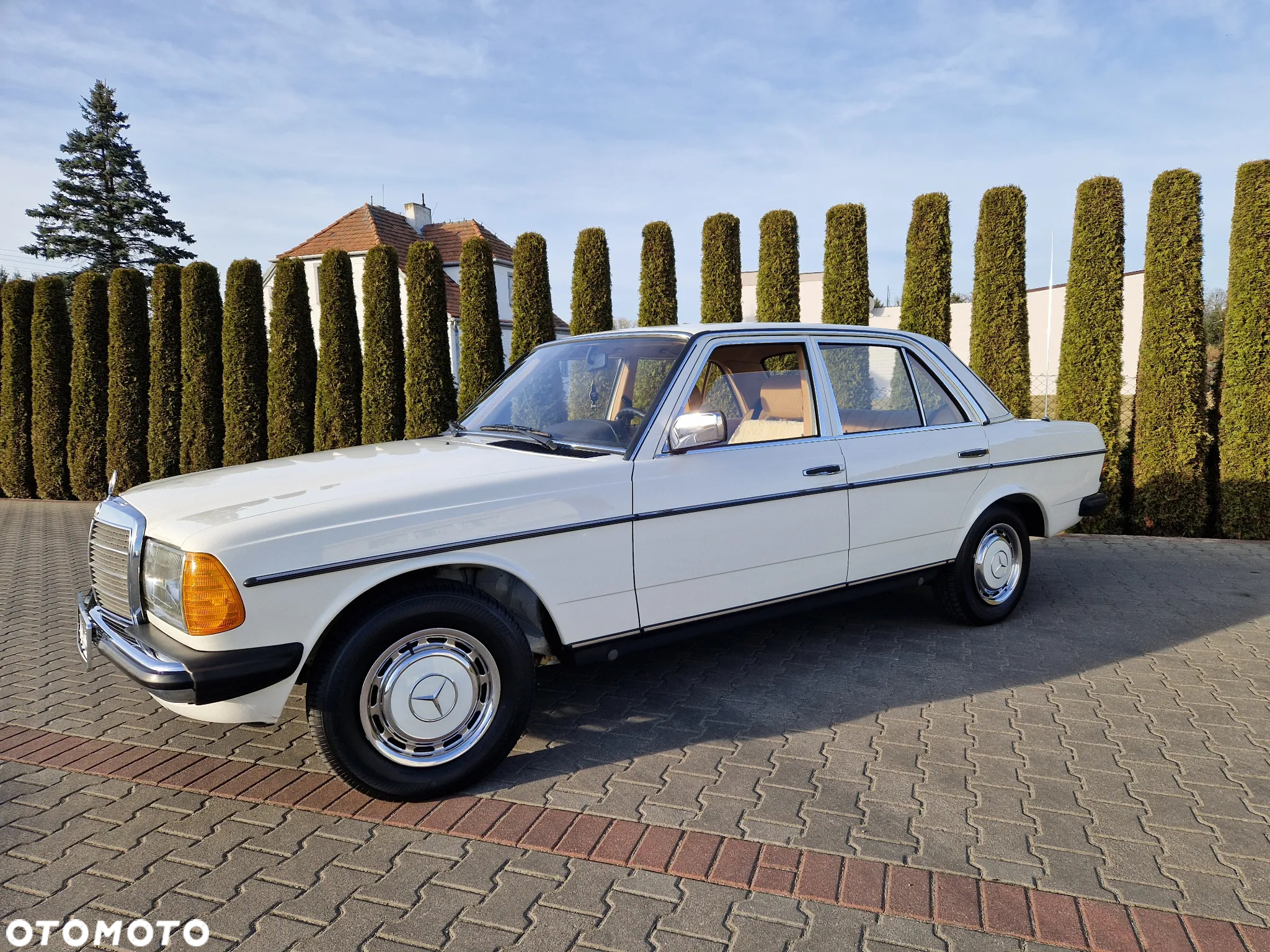 Mercedes-Benz W123 - 5