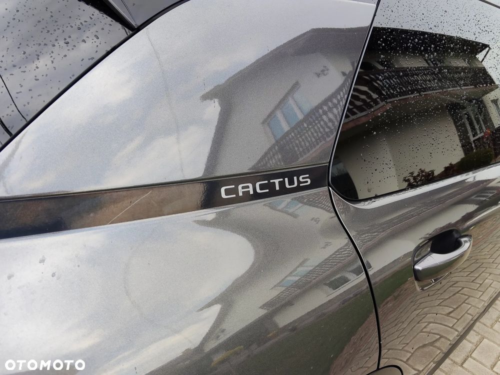 Citroën C4 Cactus 1.2 PureTech Origins S&S - 11
