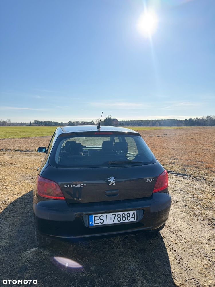 Peugeot 307 2005 photo 4