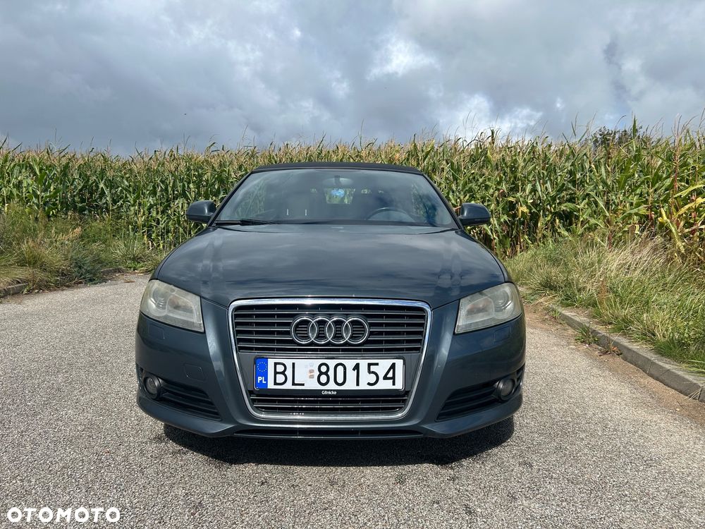 Audi A3 Cabrio 2.0 TDI DPF Ambition - 1
