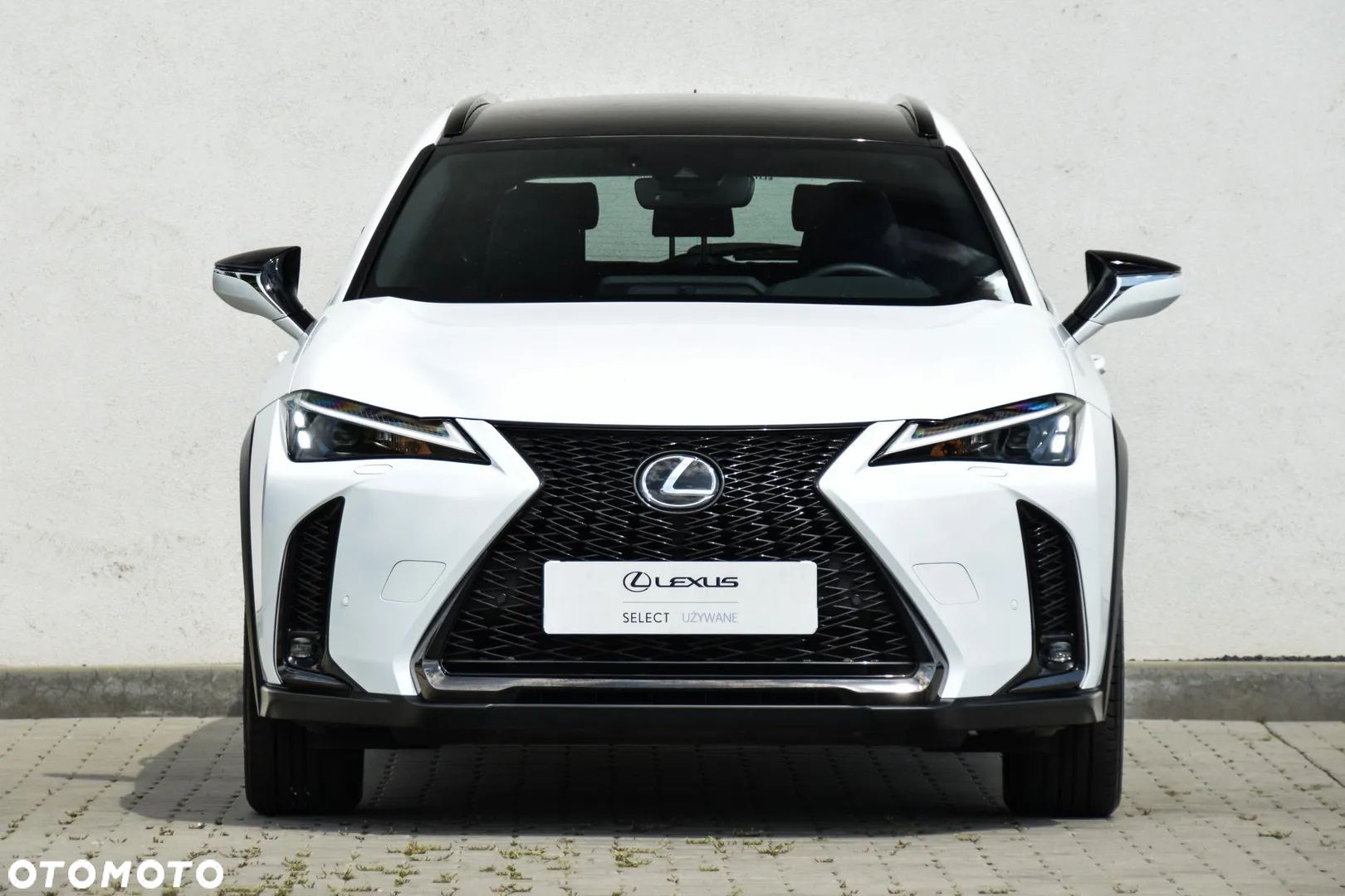 Lexus UX 250h GPF F Sport Design+ 2WD - 12