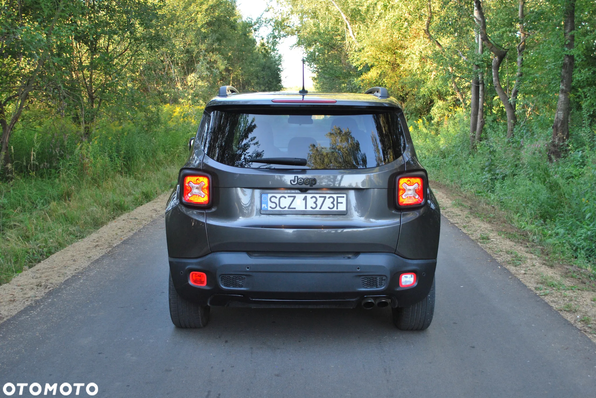Jeep Renegade 1.4 MultiAir Limited FWD S&S - 9