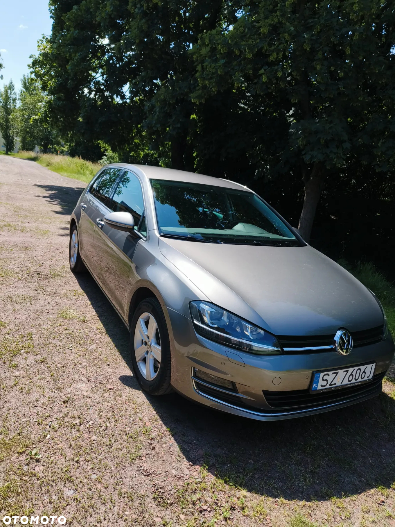 Volkswagen Golf - 24