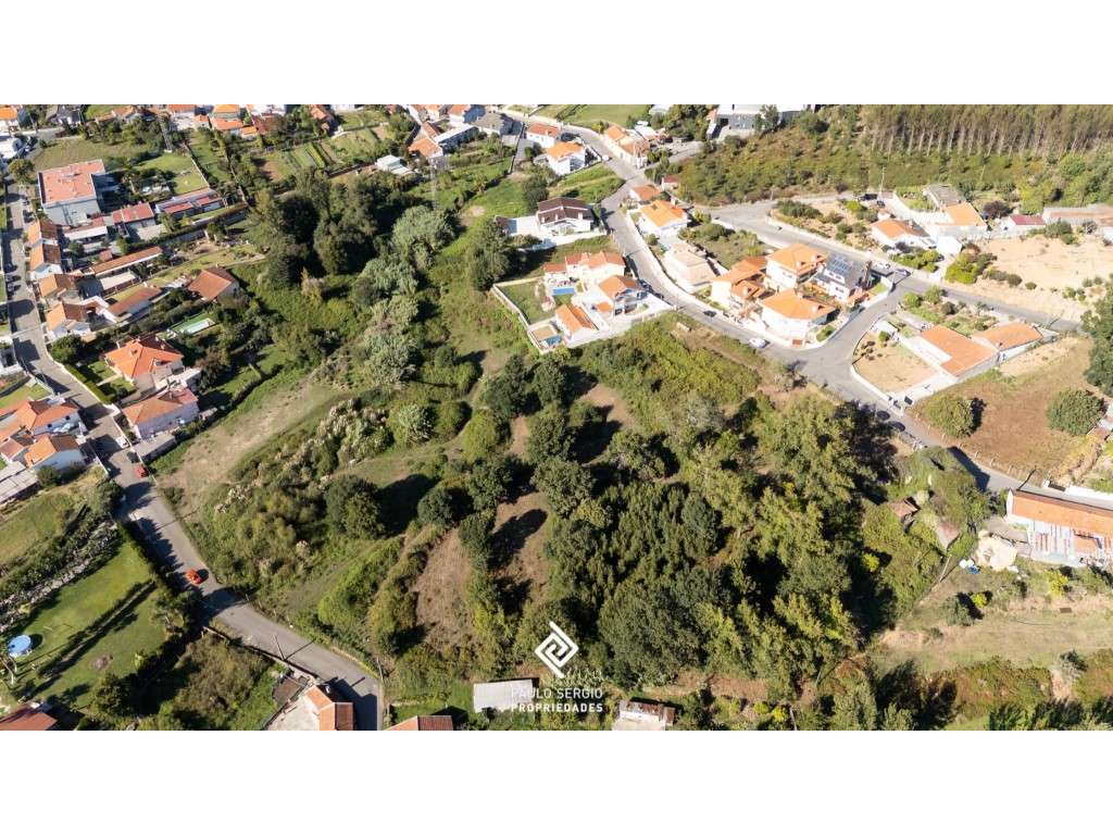 Fantástica quinta com 22.000 m², água própria e potencial ilimitado... - Grande imagem: 5/17