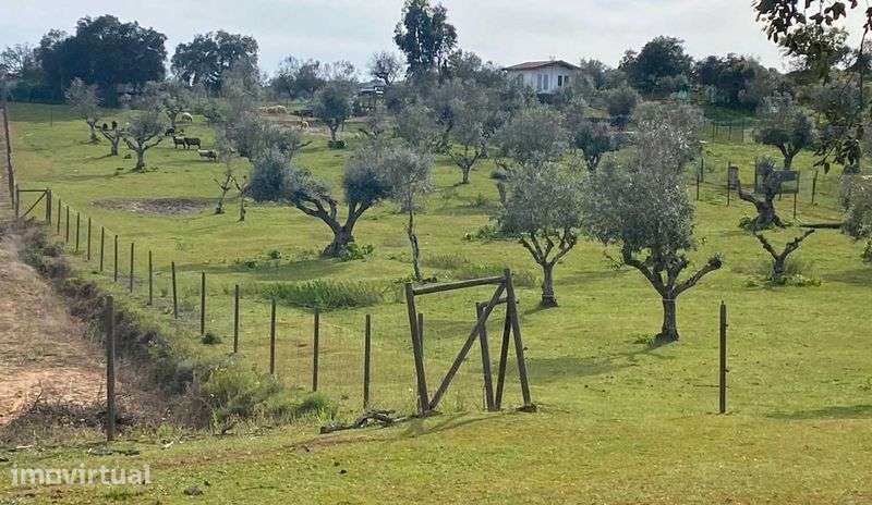 Alugo terreno Cuba - Grande imagem: 2/2