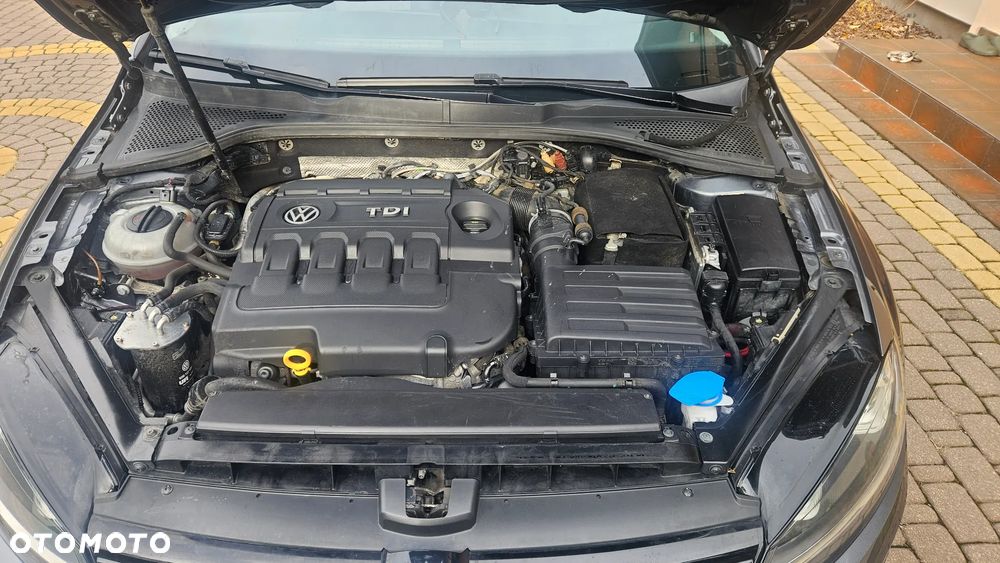 Volkswagen Golf - 31