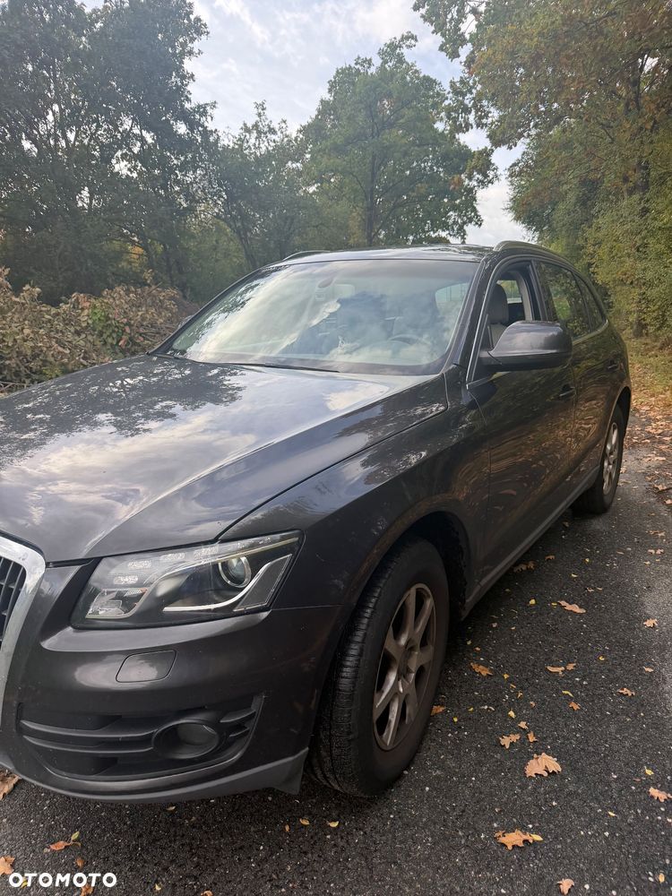 Audi Q5 2011 photo 4