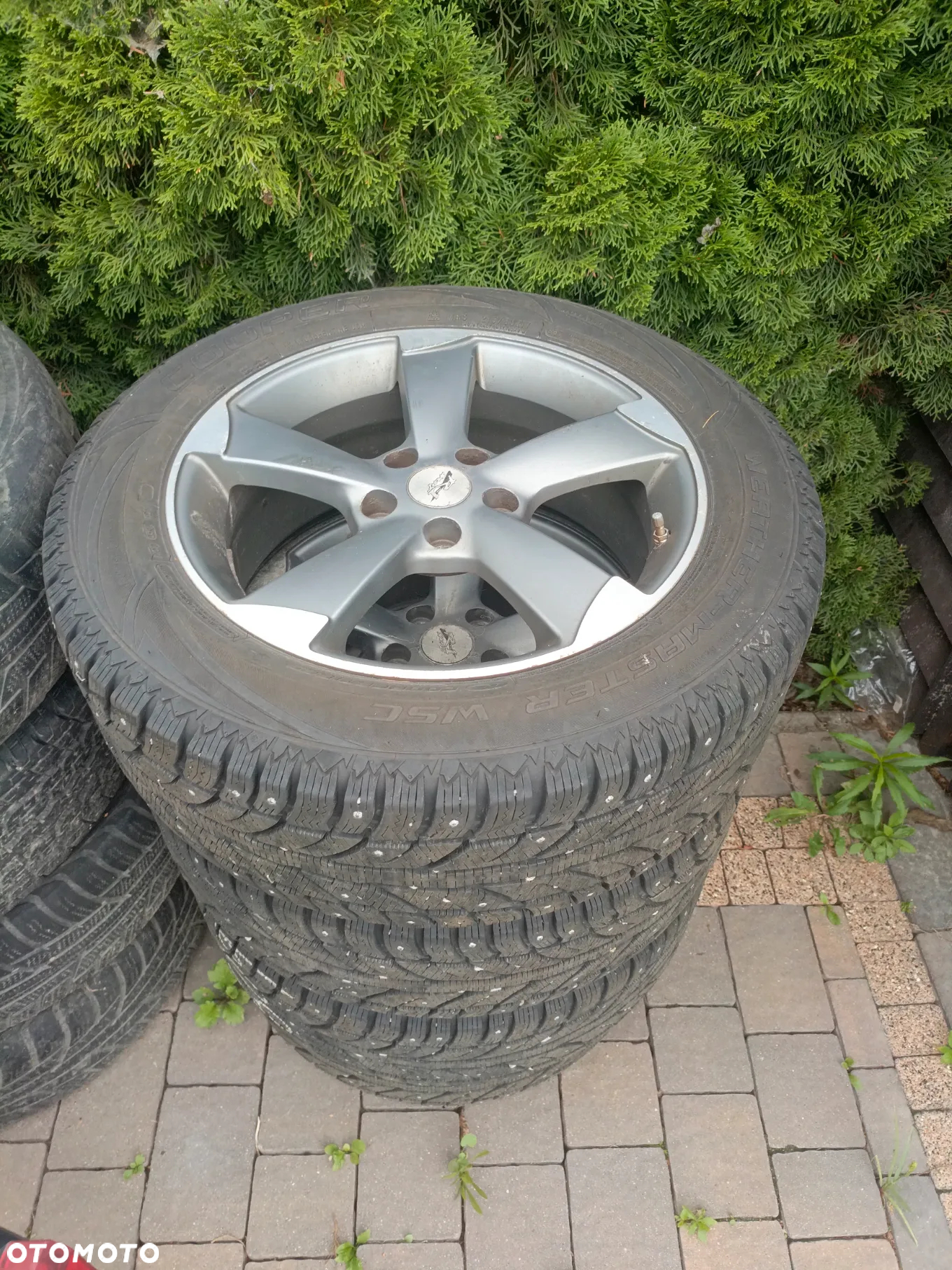 Nissan Qashqai 1.2 DIG-T Tekna+ - 36
