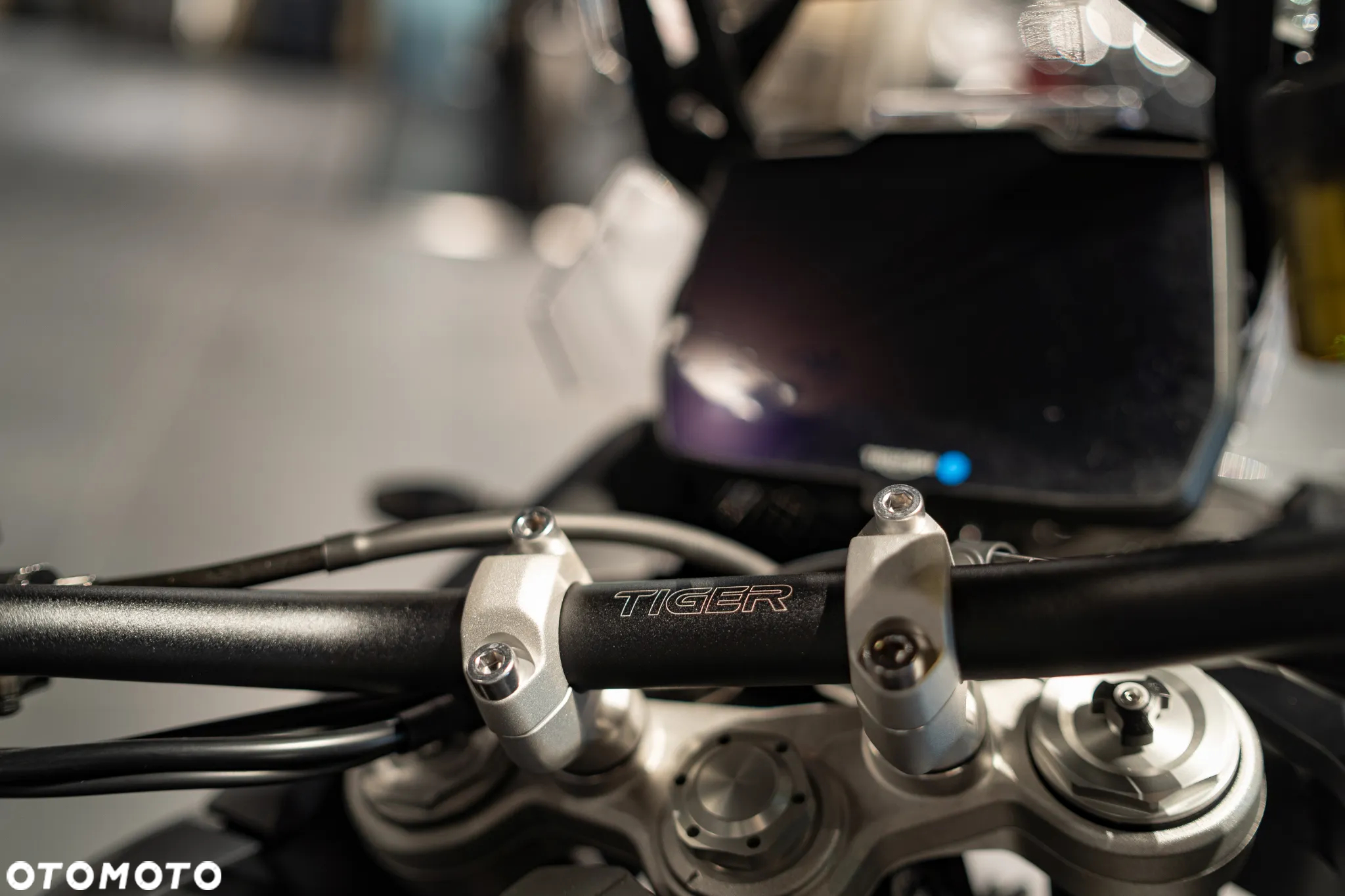 Triumph Tiger - 18
