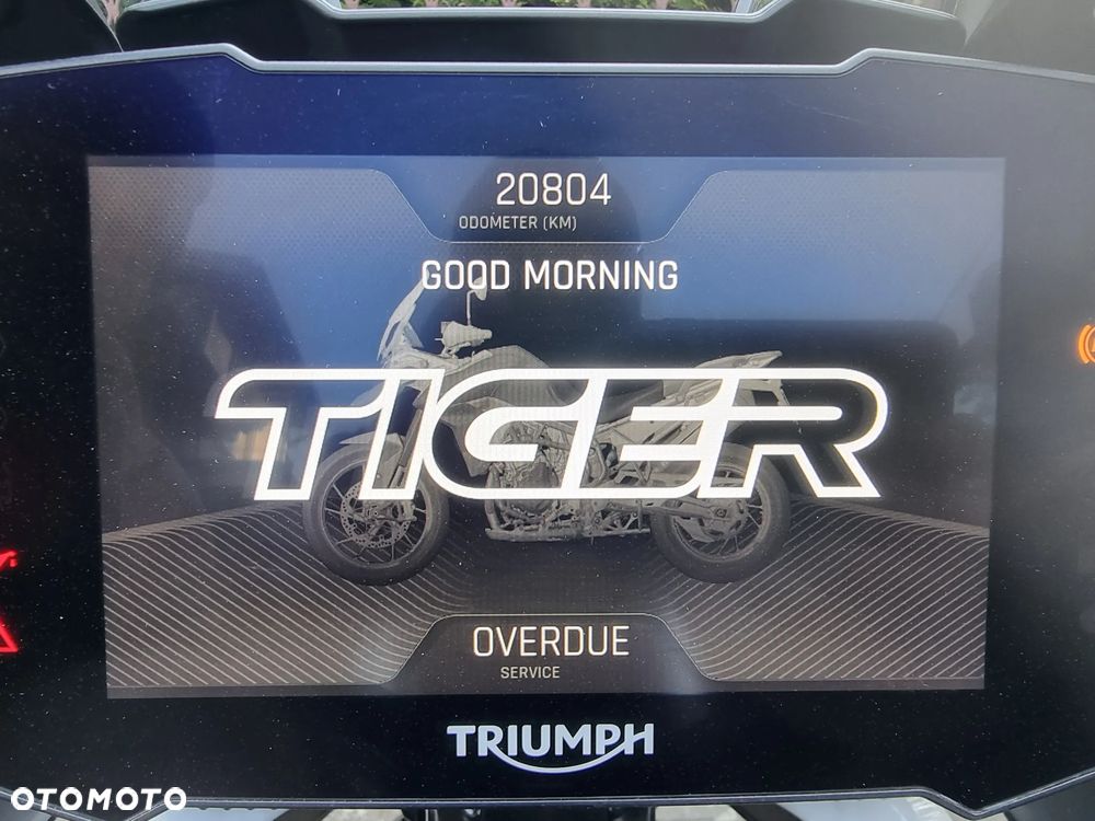 Triumph Tiger - 26