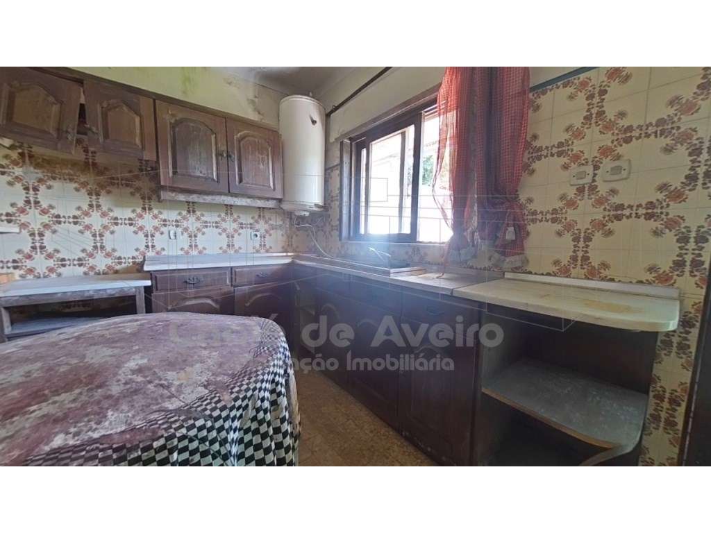 Quinta com 5.000 m2 e casa habitação T5 em Águeda - Grande imagem: 5/47