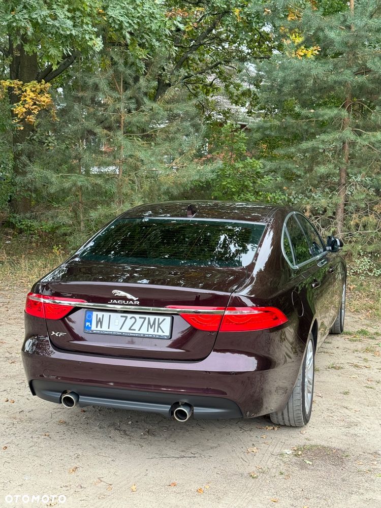Jaguar XF 2.0 T AWD Portfolio - 19