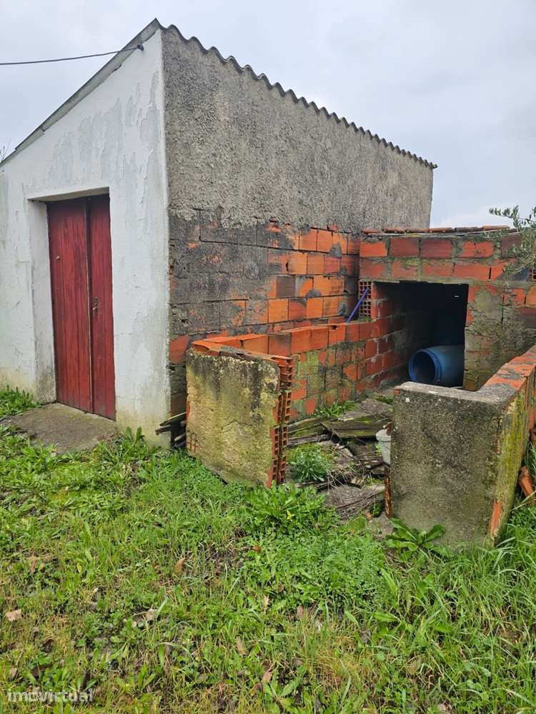 Quintinha 1350m2 - Almeirim - Fazendas de Almeirim - Grande imagem: 3/10