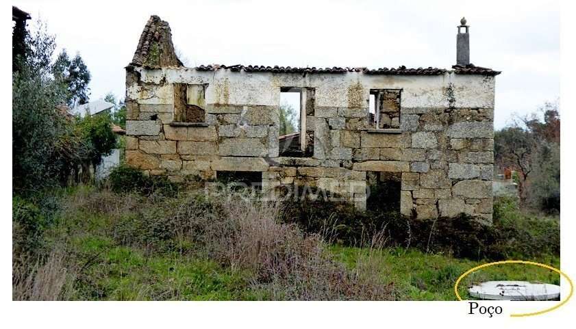 Lote de 7 Terrenos em Tábua - Grande imagem: 3/27