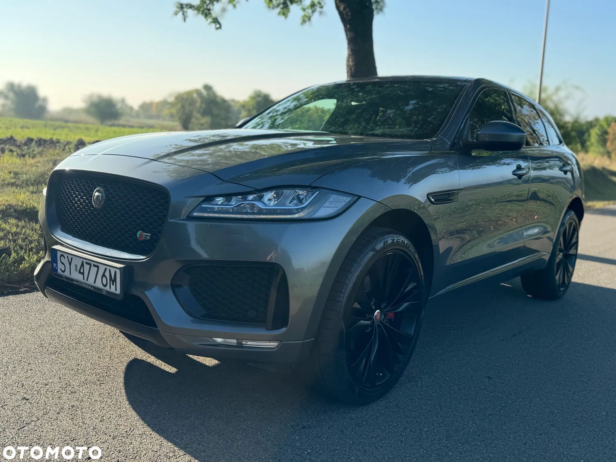 Jaguar F-Pace 3.0 TDV6 AWD Pure - 2