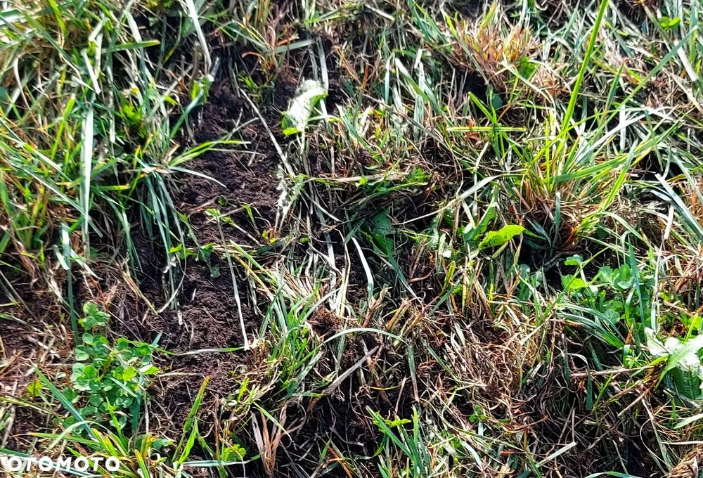 Inny CARRE Prairial 3m - 22