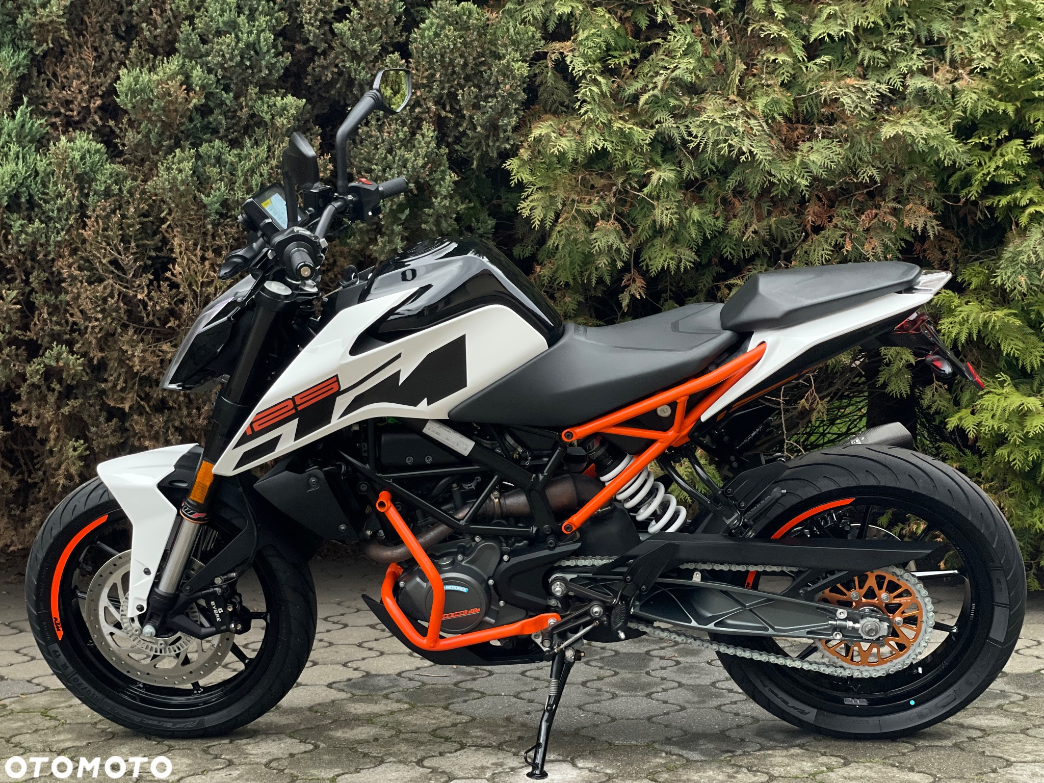 KTM Duke - 6