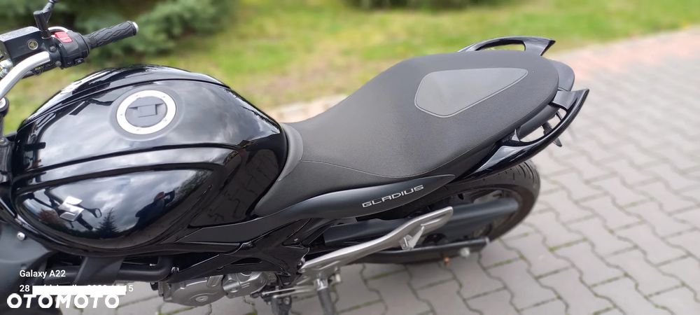 Suzuki Gladius - 10