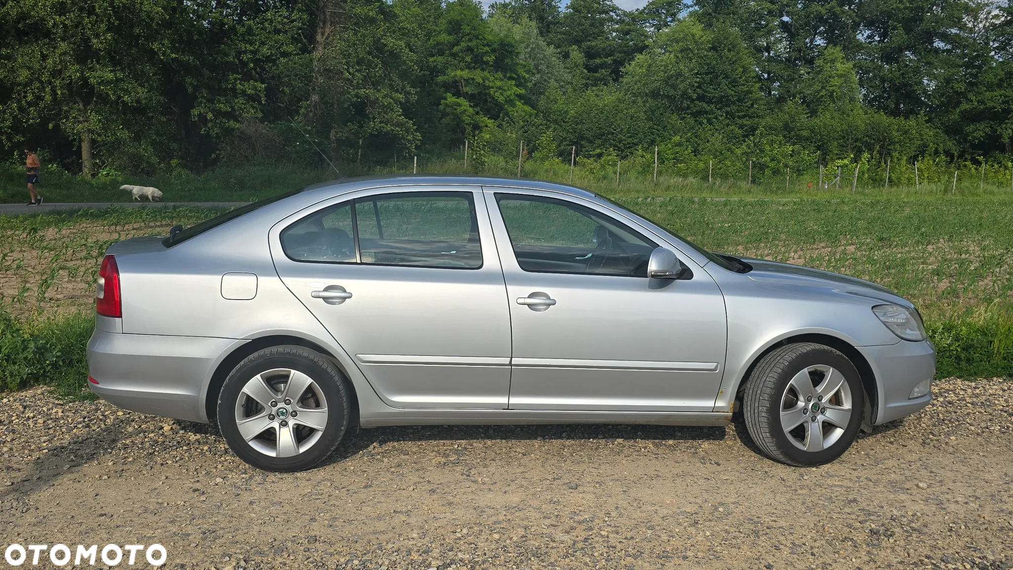 Skoda Octavia 1.8 TSI Ambition DSG - 16