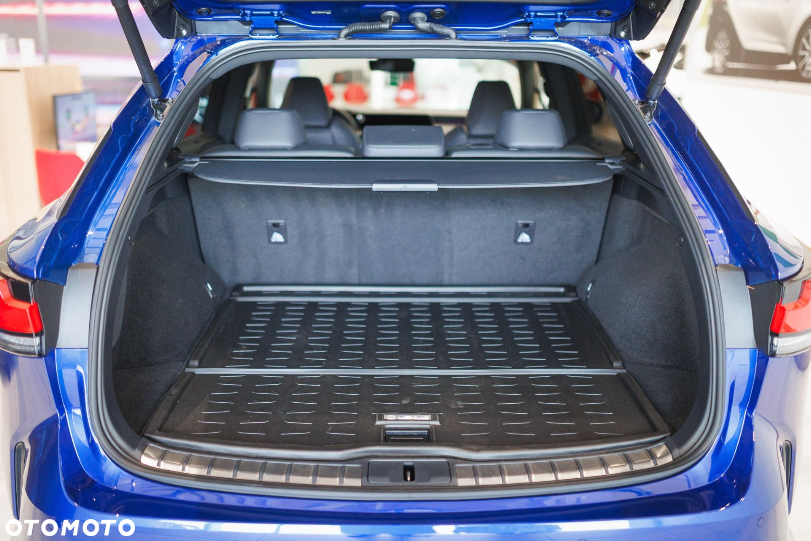 Lexus RX - 23