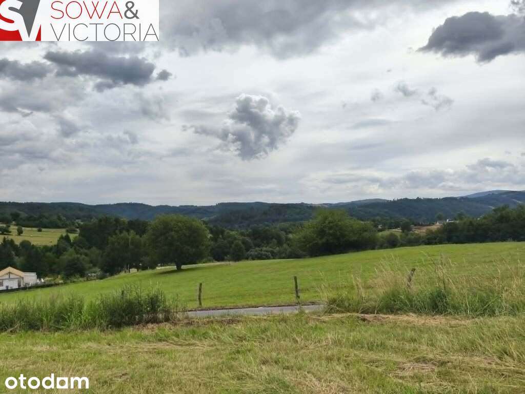Panoramiczny widok na szczyty gór,  ok 1 km od PKP - Pełny obrazek: 2/11