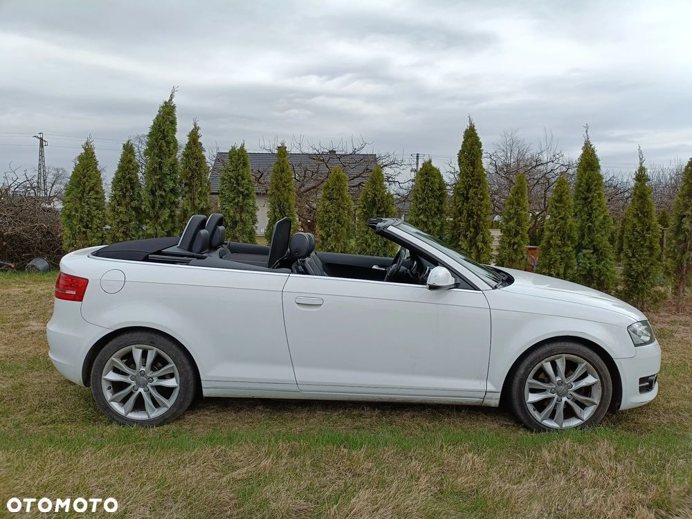 Audi A3 Cabrio 1.6 TDI DPF Attraction - 10