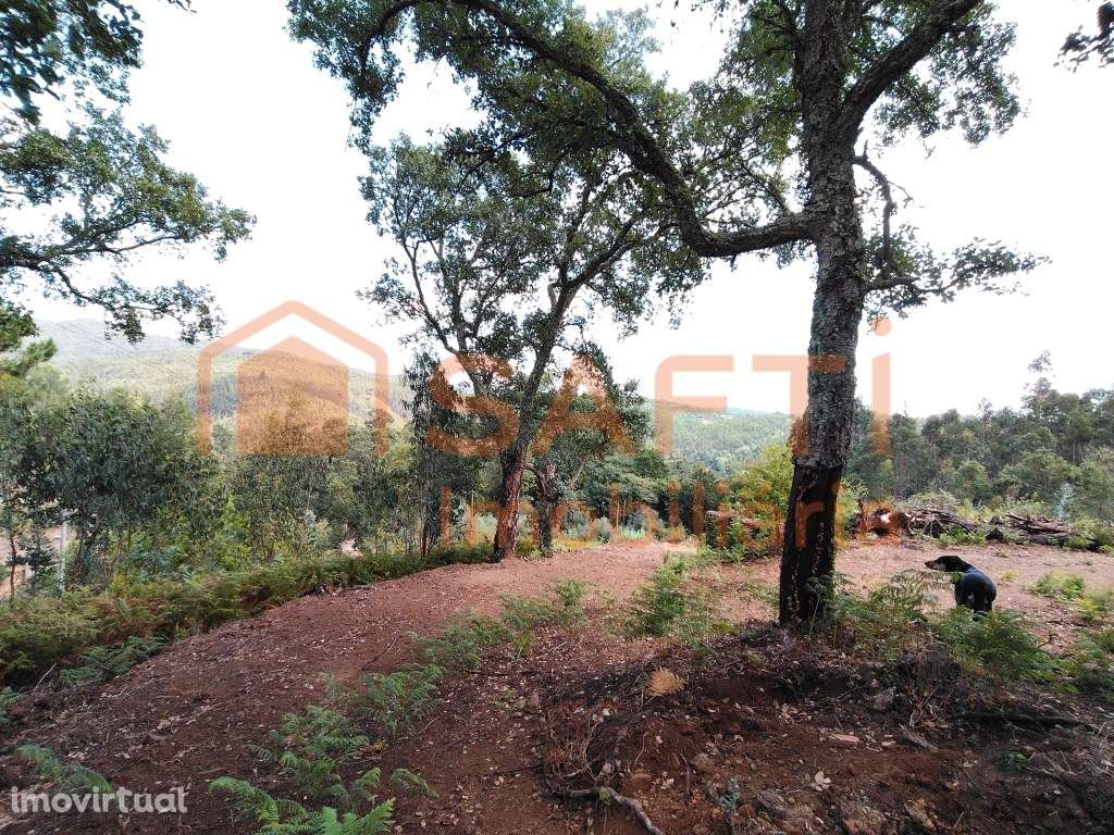 TERRENO COM POSSIBILIDADE DE CONSTRUÇÃO, COM UMA VISTA INFINITA. - Grande imagem: 4/45