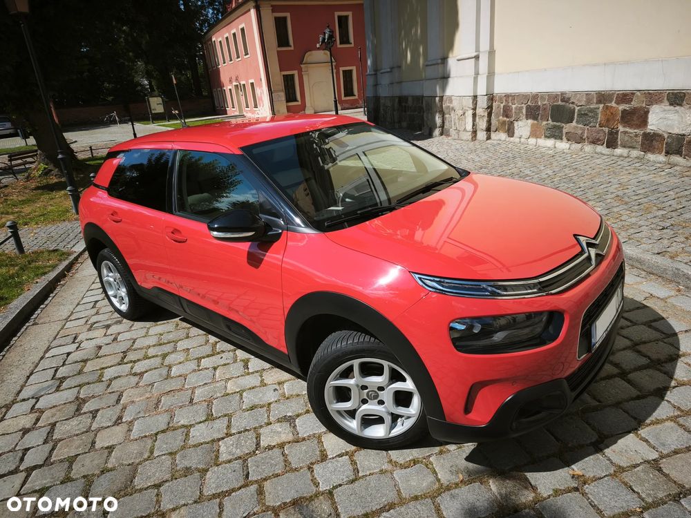 Citroën C4 Cactus 1.2 PureTech Shine S&S EAT6 - 25