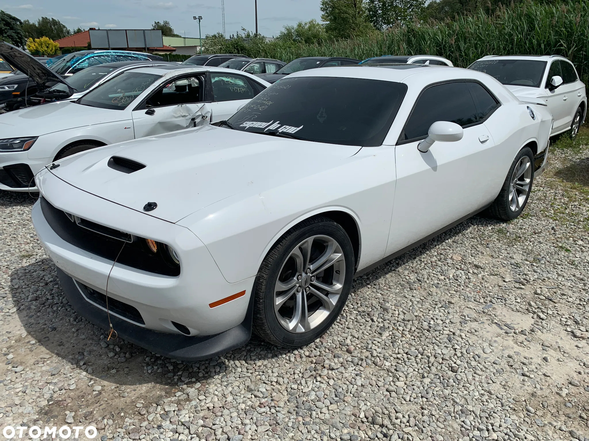 Dodge Challenger Automatik SXT Plus - 2