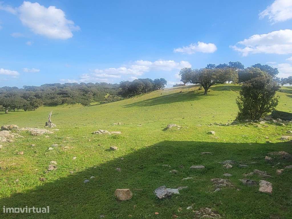 Herdade com108 ha e Monte para reconstruir Com 245 m2 - Grande imagem: 2/35