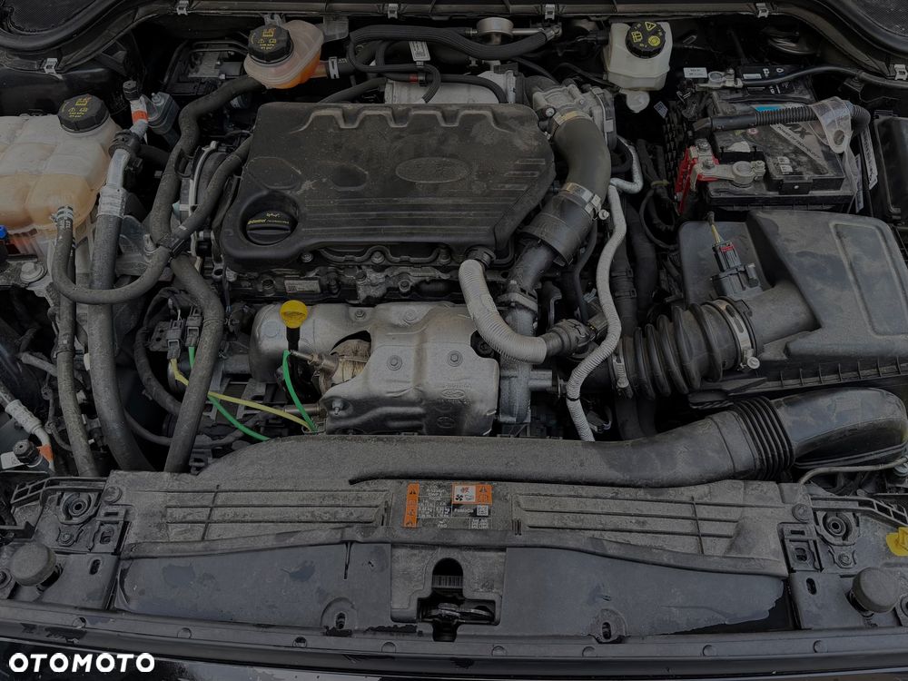 Ford Focus 1.5 EcoBlue Start-Stopp-System ST-LINE X - 15
