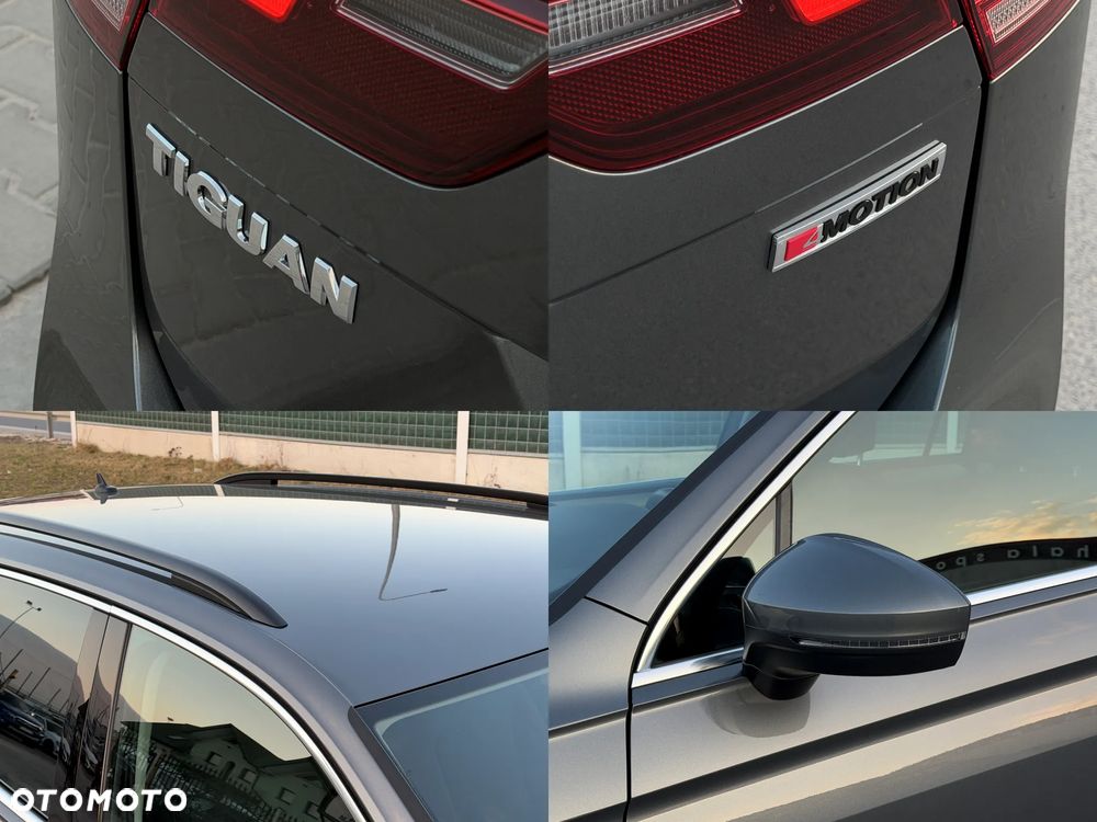Volkswagen Tiguan - 31