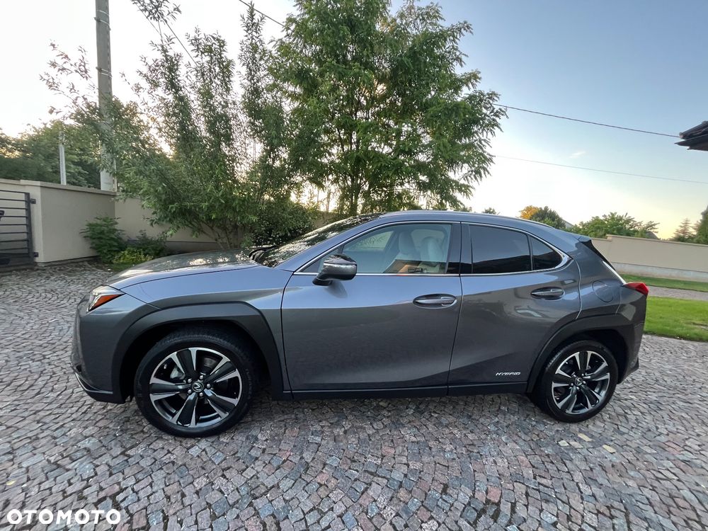 Lexus UX 250h Elegance 2WD - 2