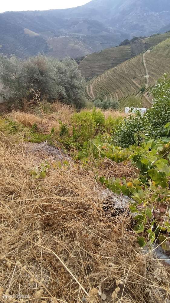 Moradia, 206 m², Vila Seca e Santo Adrião - Grande imagem: 2/17