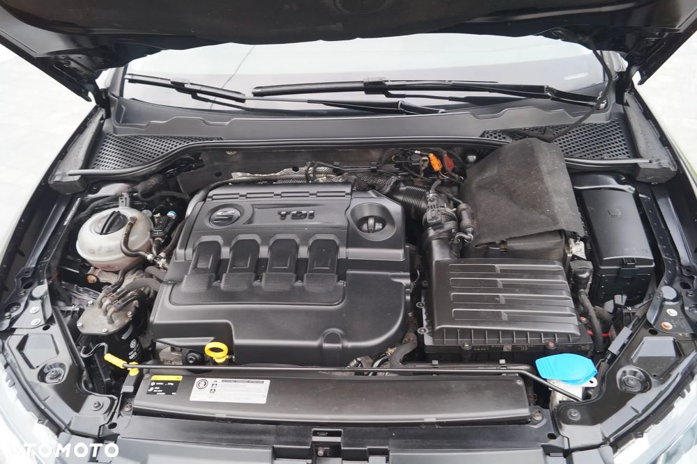 Seat Leon 1.6 TDI DPF Ecomotive Style Copa - 17