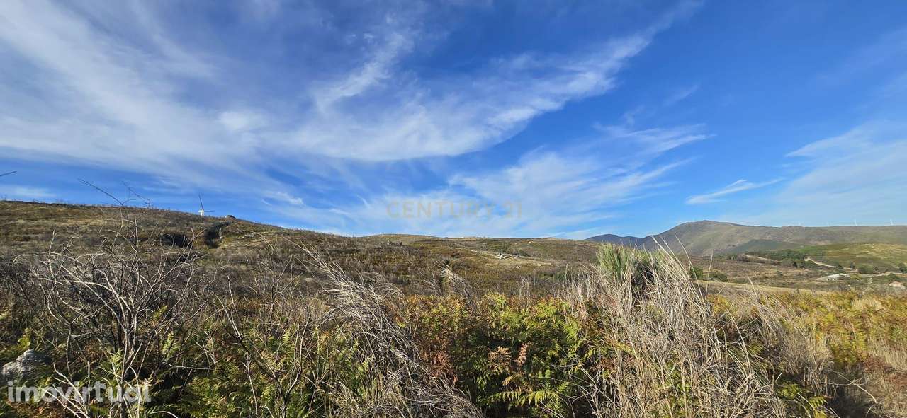 Terreno à venda em Gestaçô, Baião - Oportunidade Única! - Grande imagem: 3/5