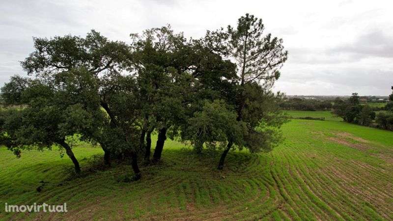 Terreno - Grande imagem: 4/7