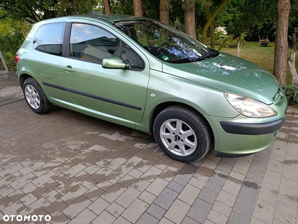 Peugeot 307 110 Grand Filou - 20