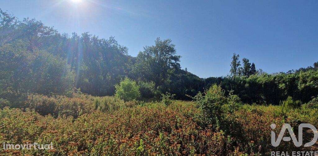 Terreno em Azueira e Sobral da Abelheira de 7500,00 m2 - Grande imagem: 2/18