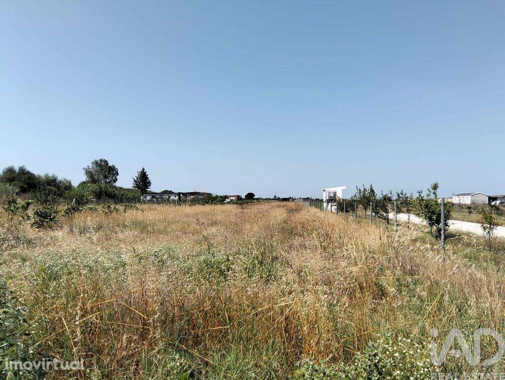 Terreno em Benfica do Ribatejo de 6720,00 m2 - Grande imagem: 3/29
