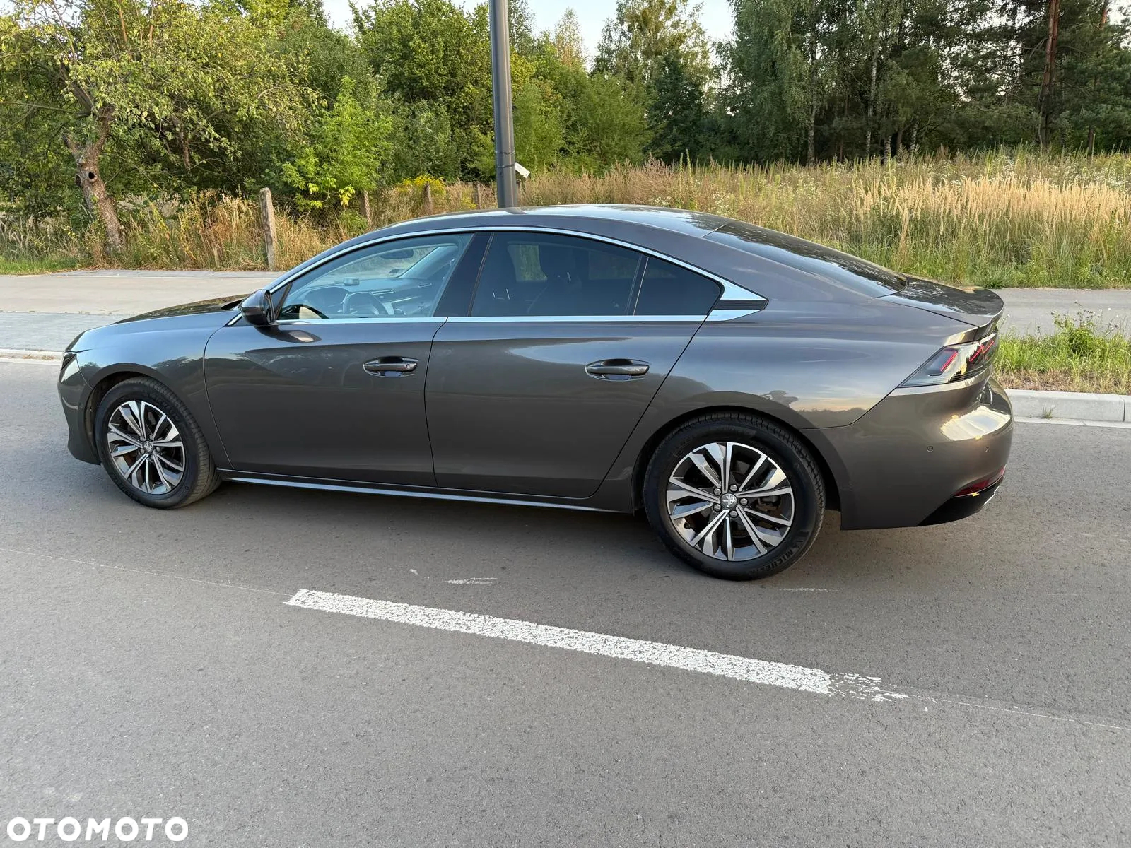 Peugeot 508 2.0 BlueHDi Allure S&S EAT8 - 6