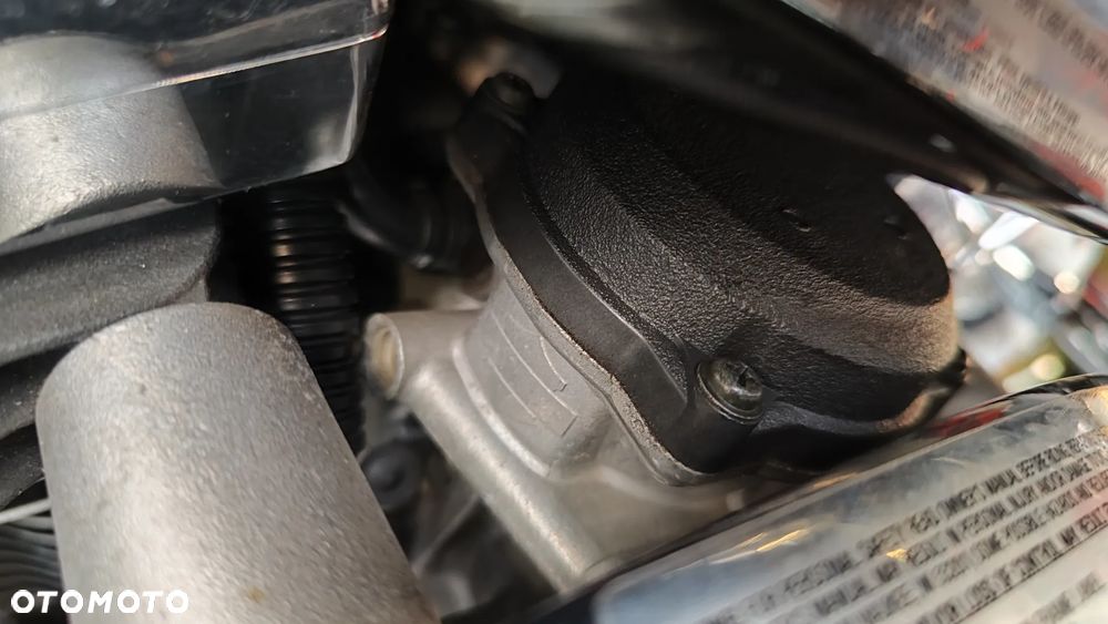 Harley-Davidson Softail Springer Classic - 20