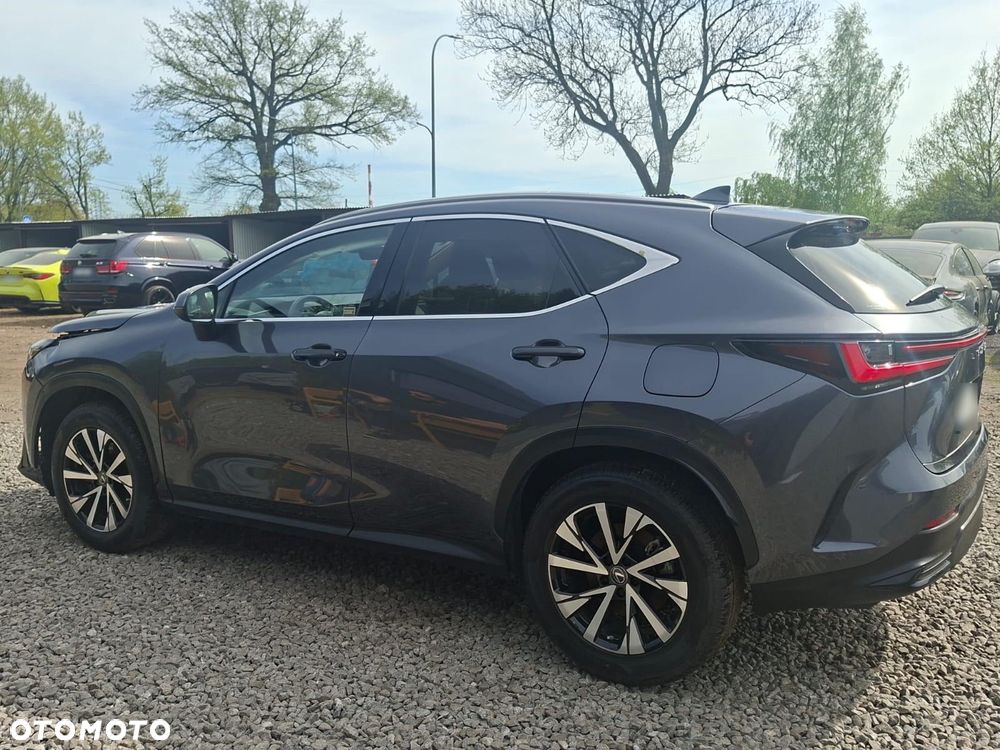 Lexus NX - 2