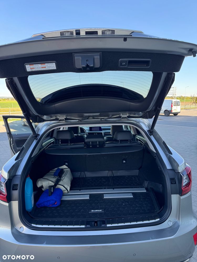 Lexus RX 200t / 300 Elegance - 12