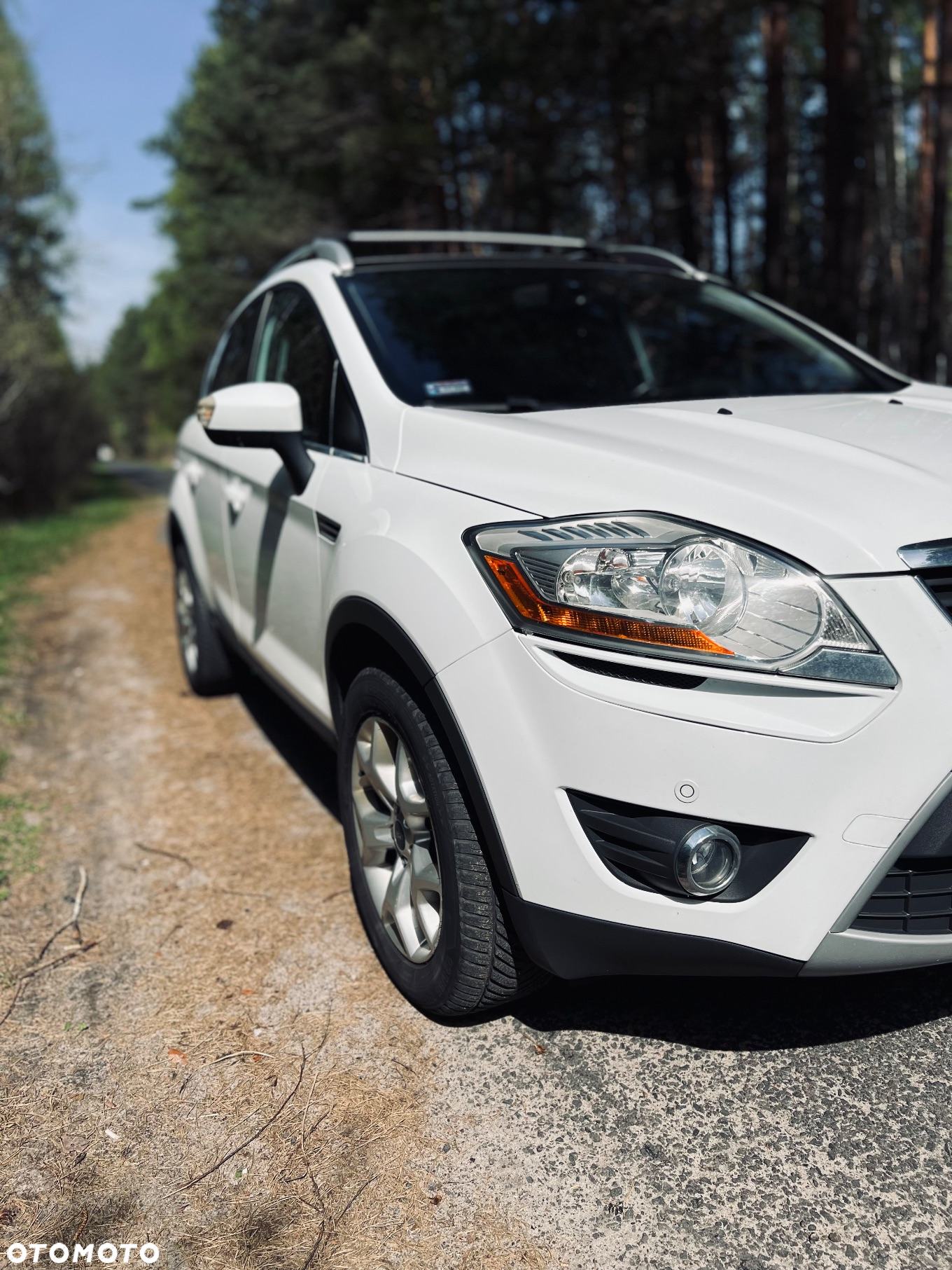 Ford Kuga 2.0 TDCi 4x4 Trend - 12