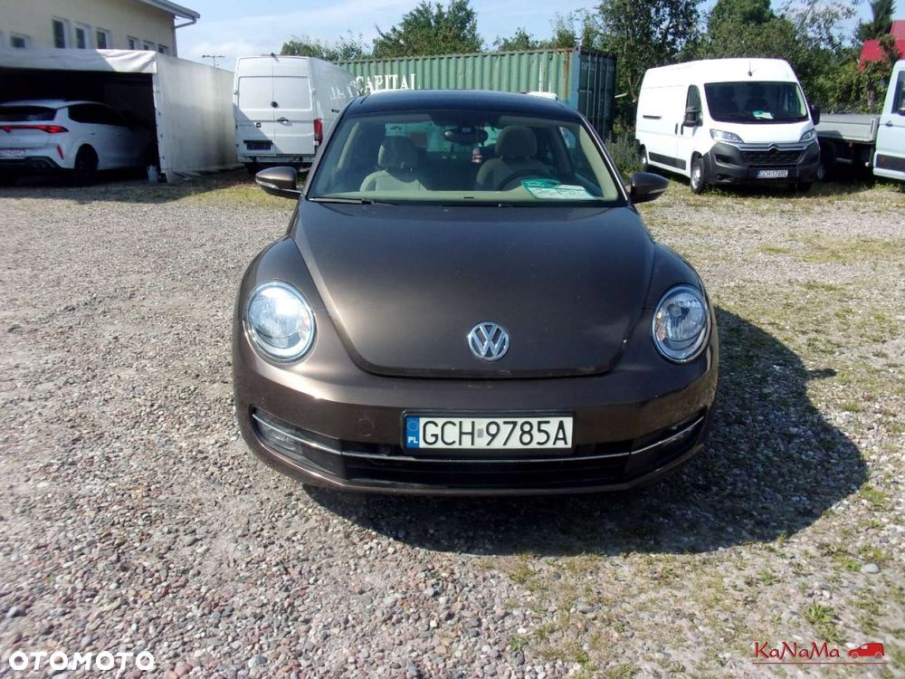 Volkswagen Beetle - 7