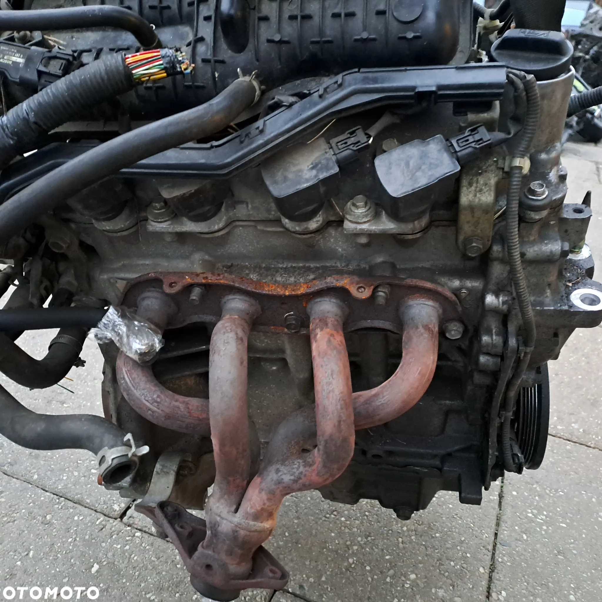 Honda Jazz II 1.3 silnik kompletny kod L13A1 niski przebieg - 5