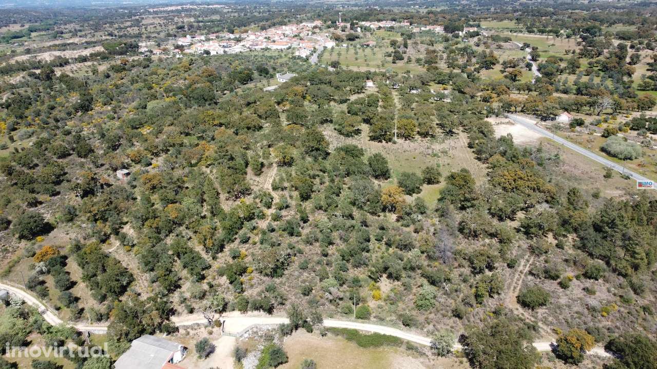 Quinta em Cafede - Grande imagem: 2/4