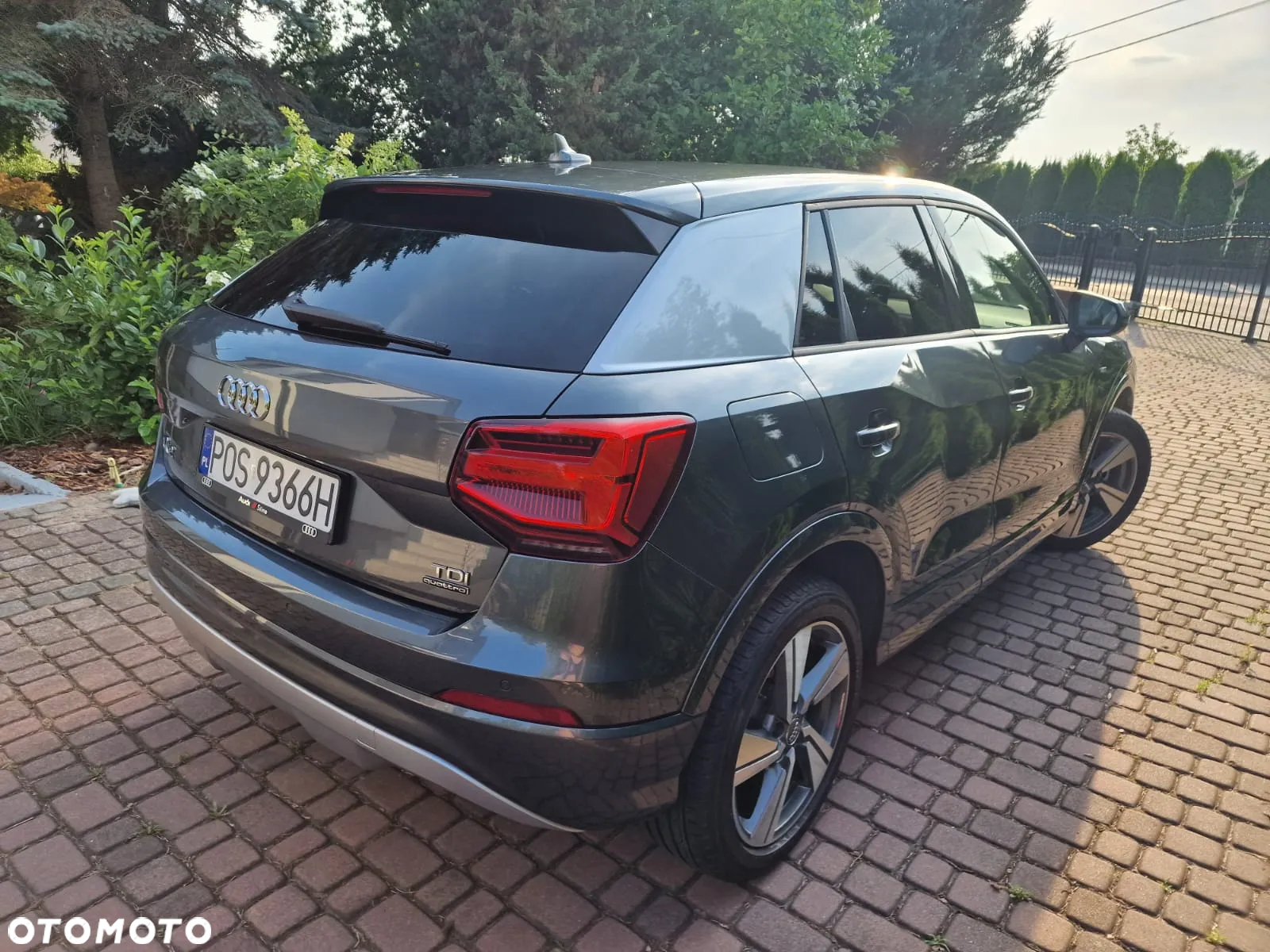 Audi Q2 2.0 TDI Quattro S tronic - 19
